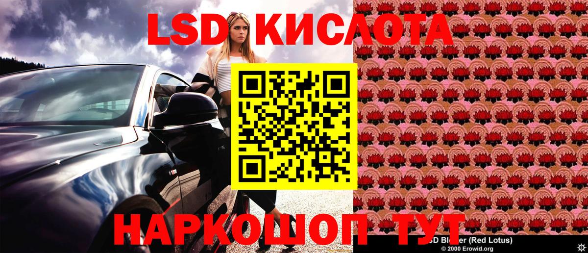 Елизово  дарнет шоп  Вход с VPN  Марки 25I-NBOMe 1,8мг 