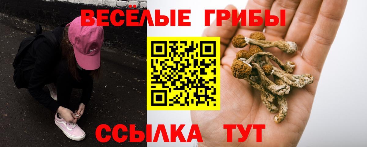 Псилоцибиновые грибы Psilocybine cubensis Елизово